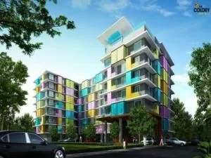 The Colory Vivid - เดอะ คัลเลอร์รี่ วิวิด