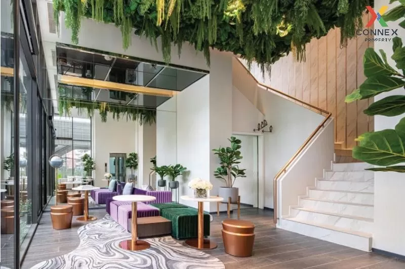 เช่าคอนโด  เดอะ เบส สะพานใหม่ BTS-สายหยุด อนุสาวรีย์ เขต บางเขน ก