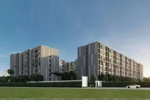 ARLO LASALLE 17 - อาโล่ ลาซาล 17