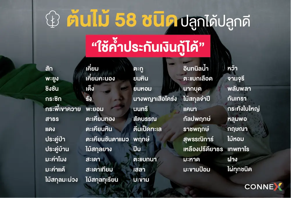 ไม่เชื่อก็ต้องเชื่อ ต้นไม้ 58 ชนิดนี้ ใช้เป็นหลักทรัพย์ค้ำประกัน ขอสินเชื่อได้!!