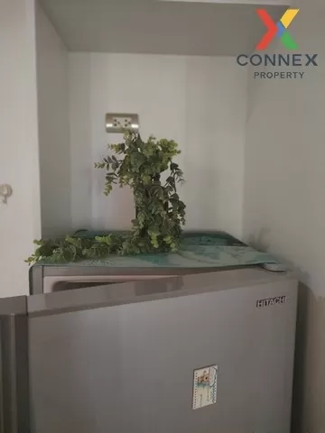 FOR RENT condo , Tree Condo LUXE Sukhumvit 52 , high floor , BTS- 3