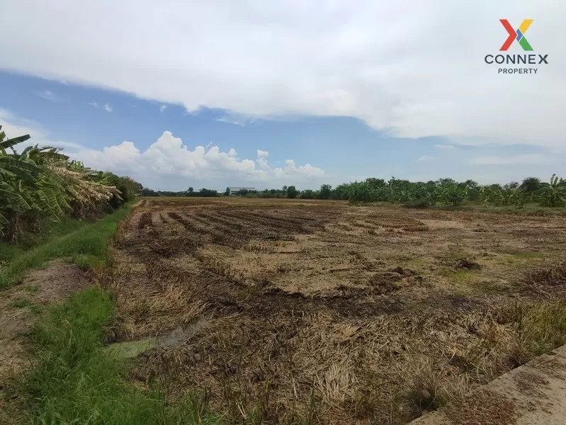 FOR SALE land , Thai Ban Mai , Bang Yai , Nonthaburi , CX-01015 3