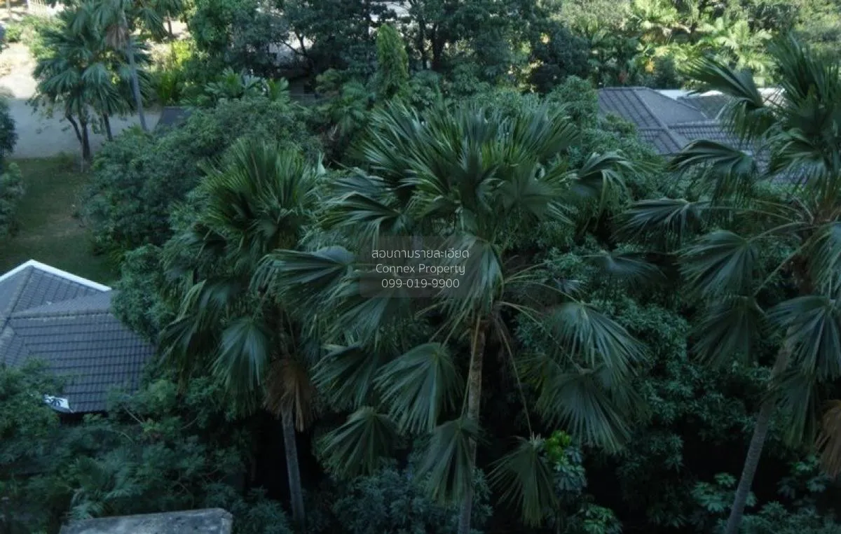 เช่า คอนโด วิวสวย Condo One X Sukhumvit 26 BTS-พร้อมพงษ์ สุขุมวิท