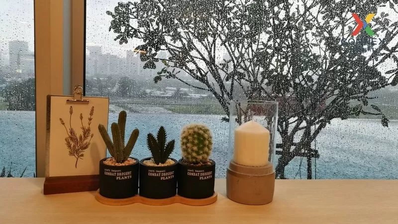 เช่า คอนโด วิวสวย Supalai Veranda Rama 9  พระราม 9 บางกะปิ ห้วยขว