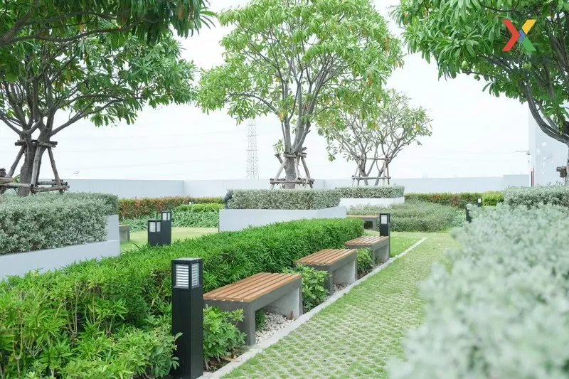 FOR RENT condo , Aspire Ngamwongwan , Duplex , high floor , MRT-S