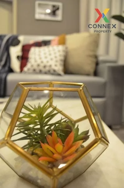 เช่า คอนโด แต่งสวย The line sukhumvit 101 BTS-ปุณณวิถี สุขุมวิท บ