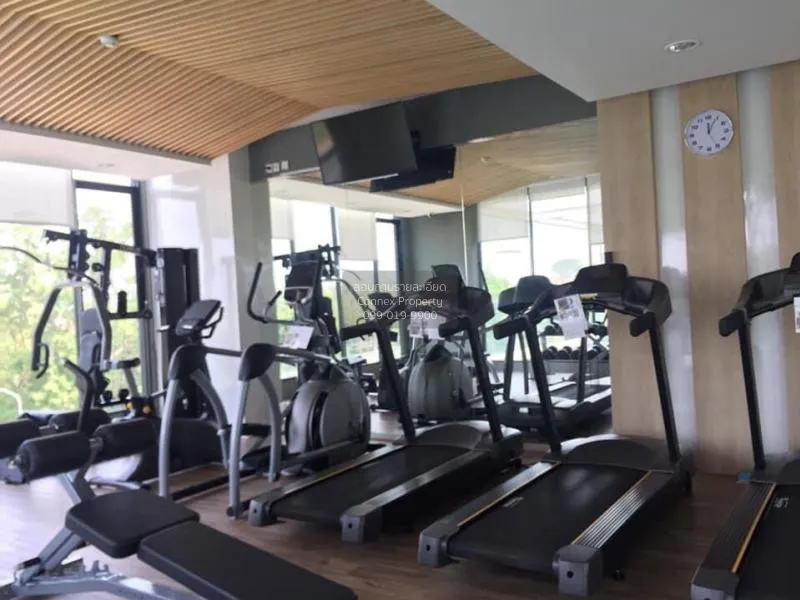 เช่า คอนโด  Kensington Kaset Campus BTS-บางบัว พหลโยธิน ลาดยาว จต