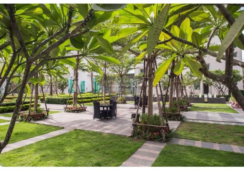 FOR RENT condo , TC Green Rama 9 , Duplex , wide frontage , MRT-P