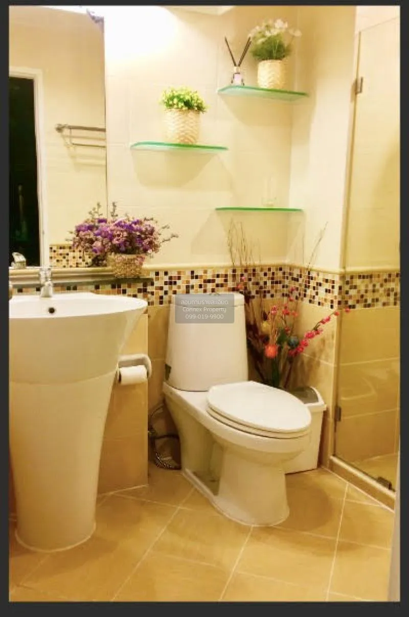 เช่า คอนโด  The Waterford Sukhumvit 50 BTS-พระโขนง สุขุมวิท พระโข