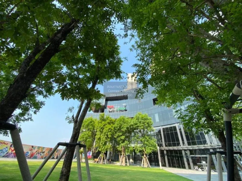 FOR RENT condo , Whizdom connect , Duplex , nice view , BTS-Punna