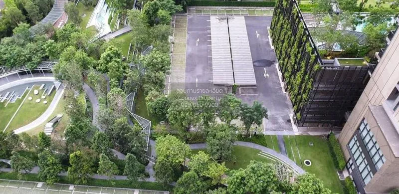 FOR RENT condo , Whizdom connect , Duplex , nice view , BTS-Punna