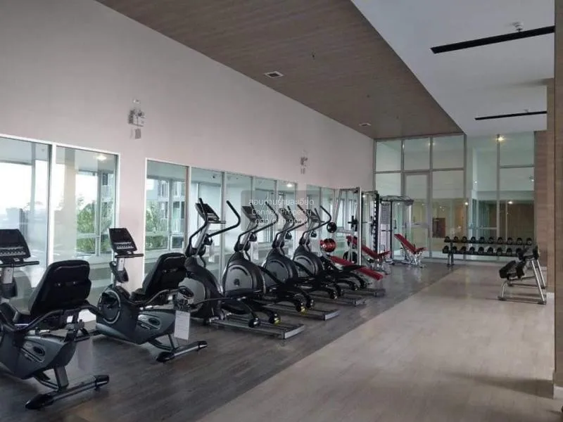 FOR RENT condo , The Trust Erawan , Duplex , nice view , BTS-Chan