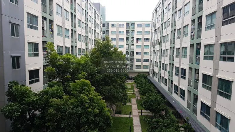 เช่า คอนโด วิวสวย Lumpini Ville Onnut 46 0 สุขุมวิท สวนหลวง สวนหล