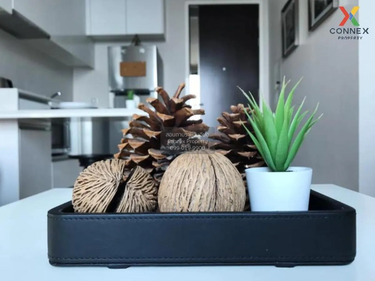 เช่าคอนโด 1อีควิน็อคซ์ พหล-วิภา MRT-สวนจตุจักร  เขต จตุจักร กรุงเ 3