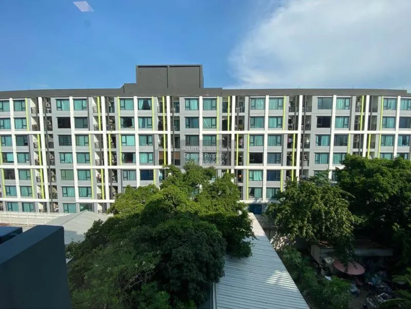 FOR RENT condo เดอะ เบส สุขุมวิท 50   Khlong Toei Bangkok CX-0519