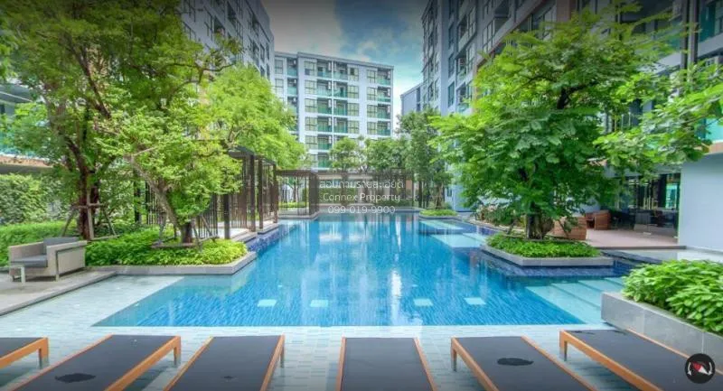 เช่าคอนโด ดิ เอ็กซ์เซล ไฮด์ อะเวย์ สุขุมวิท 50  BTS-พระโขนง พระโข