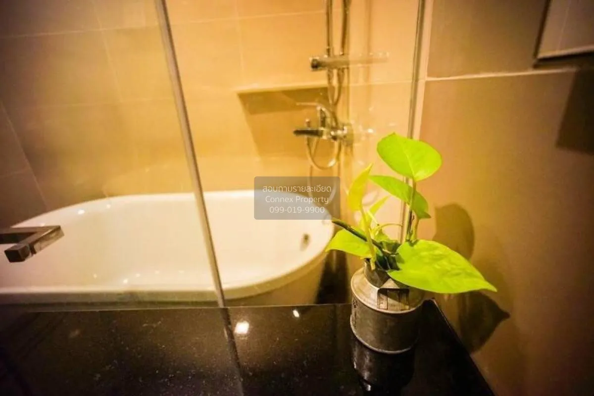 เช่าคอนโด  เอดจ์ สุขุมวิท 23 BTS-อโศก คลองเตยเหนือ เขต วัฒนา กรุง