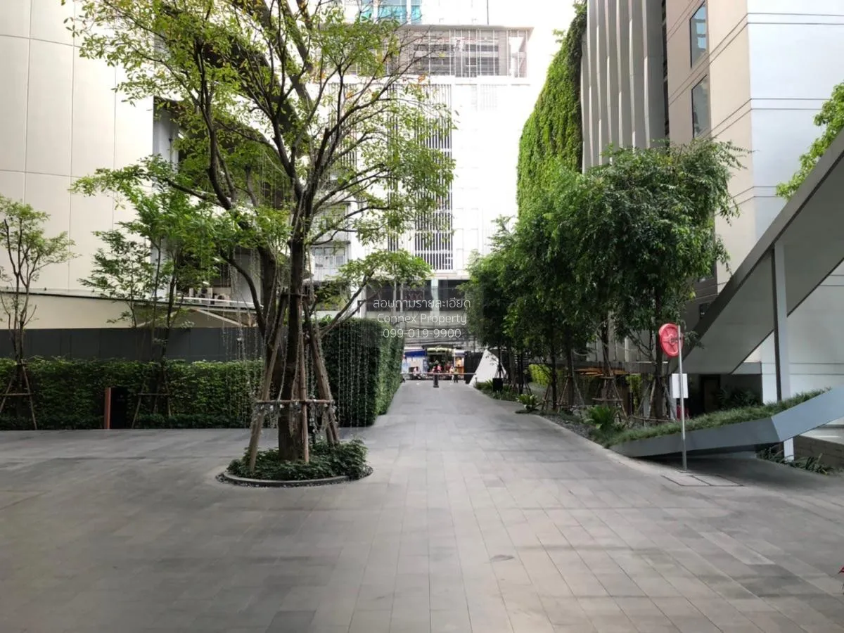 เช่าคอนโด  เอดจ์ สุขุมวิท 23 BTS-อโศก คลองเตยเหนือ เขต วัฒนา กรุง