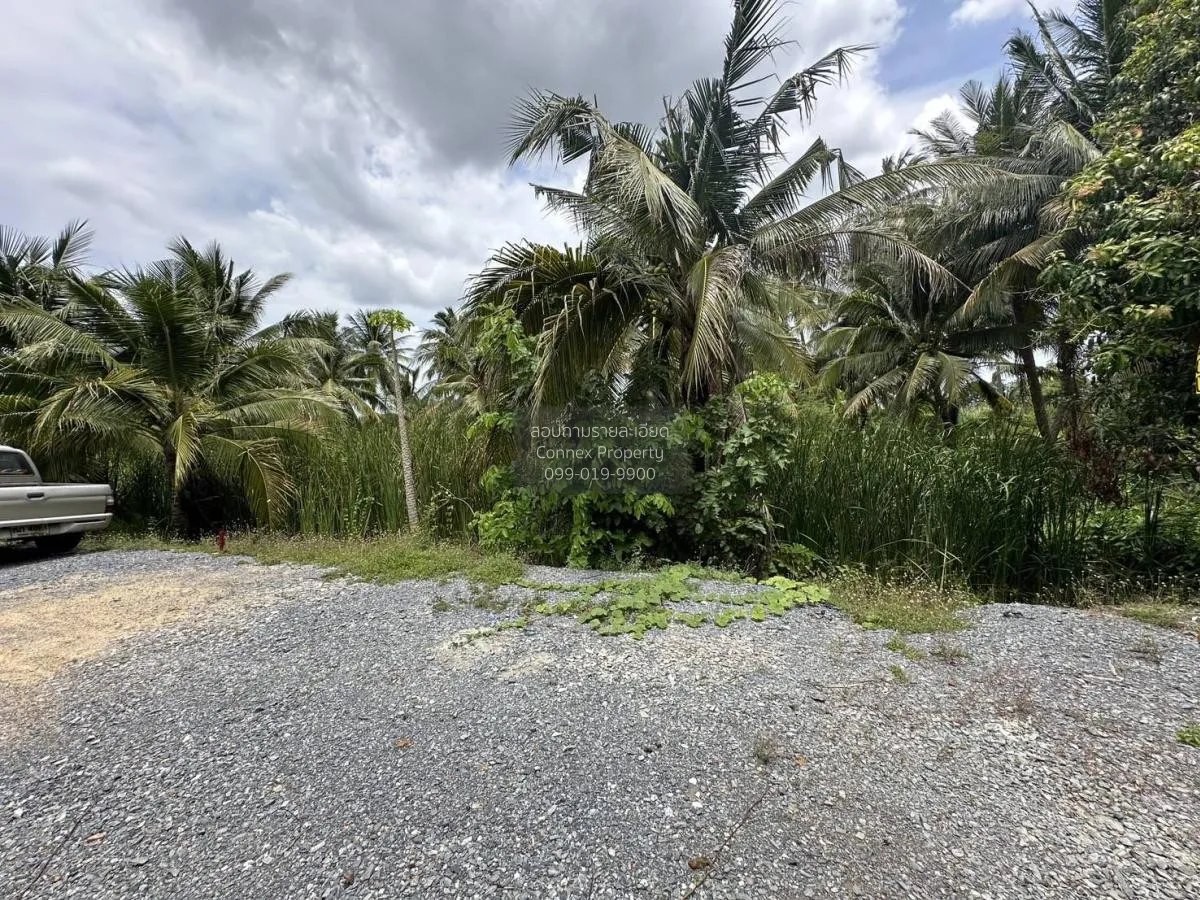 ขายที่ดินเปล่า 283 ตรว. บางแวก พุทธมณฑลสาย 2 บางไผ่ เขต บางแค กรุ 2