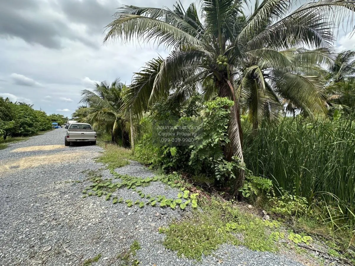 ขายที่ดินเปล่า 283 ตรว. บางแวก พุทธมณฑลสาย 2 บางไผ่ เขต บางแค กรุ 3