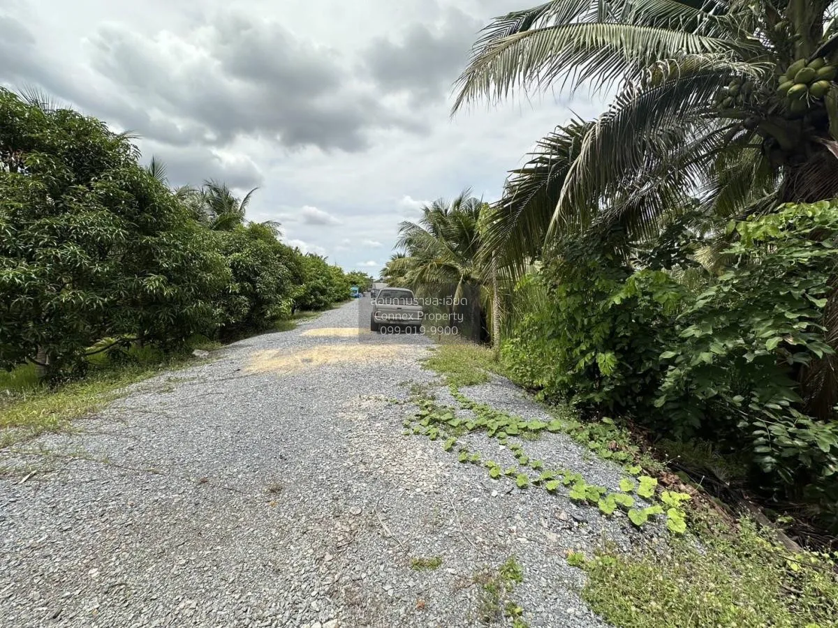 ขายที่ดินเปล่า 283 ตรว. บางแวก พุทธมณฑลสาย 2 บางไผ่ เขต บางแค กรุ 4