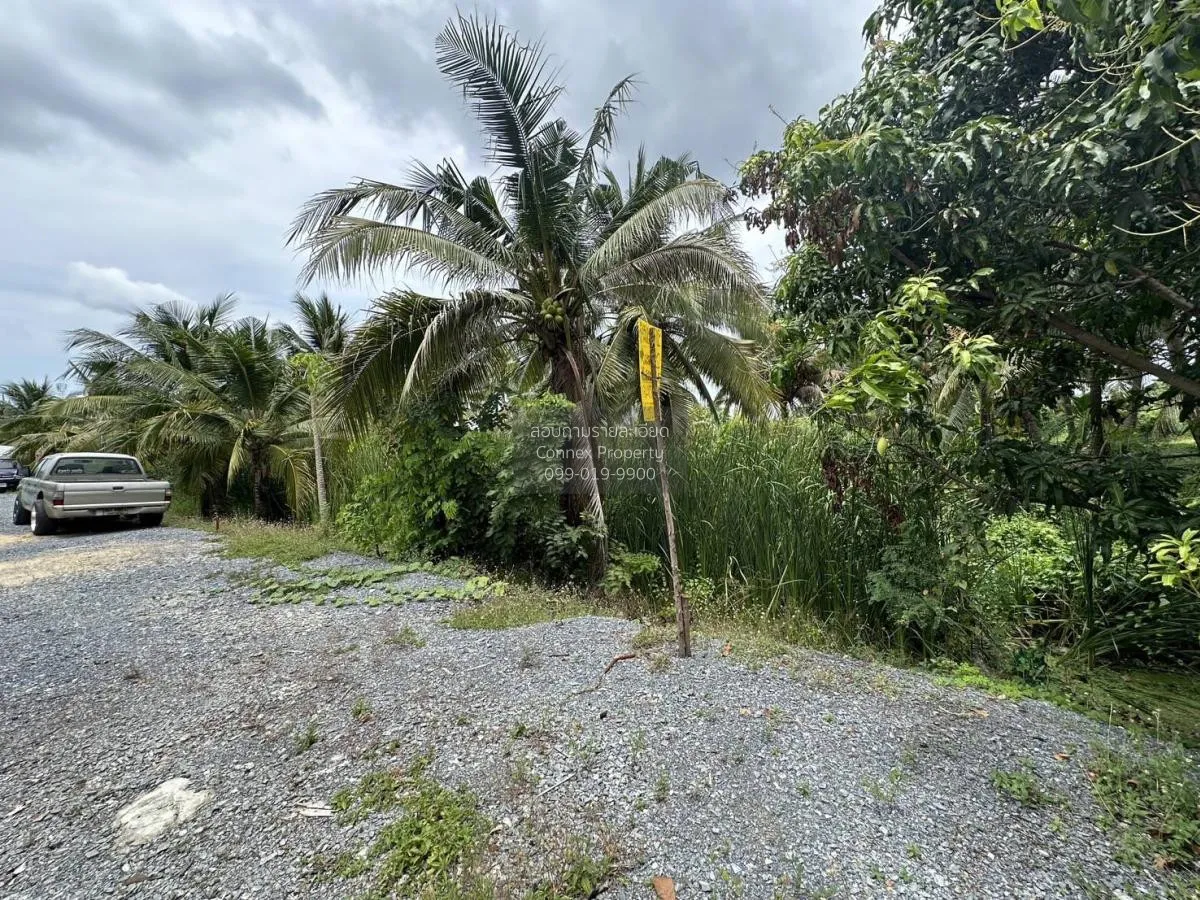 ขายที่ดินเปล่า 283 ตรว. บางแวก พุทธมณฑลสาย 2 บางไผ่ เขต บางแค กรุ