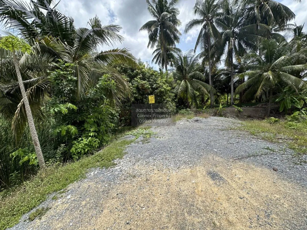 ขายที่ดินเปล่า 283 ตรว. บางแวก พุทธมณฑลสาย 2 บางไผ่ เขต บางแค กรุ