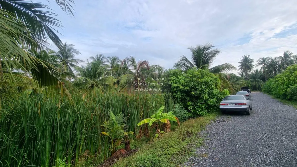 ขายที่ดินเปล่า2ไร่ บางแวก พุทธมณฑลสาย2 บางไผ่ เขต บางแค กรุงเทพ ว