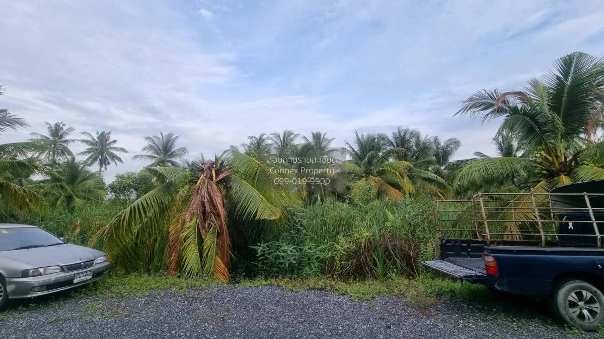 ขายที่ดินเปล่า2ไร่ บางแวก พุทธมณฑลสาย2 บางไผ่ เขต บางแค กรุงเทพ ว