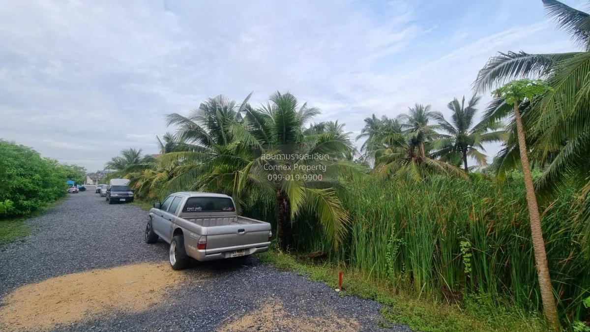 ขายที่ดินเปล่า2ไร่ บางแวก พุทธมณฑลสาย2 บางไผ่ เขต บางแค กรุงเทพ ว