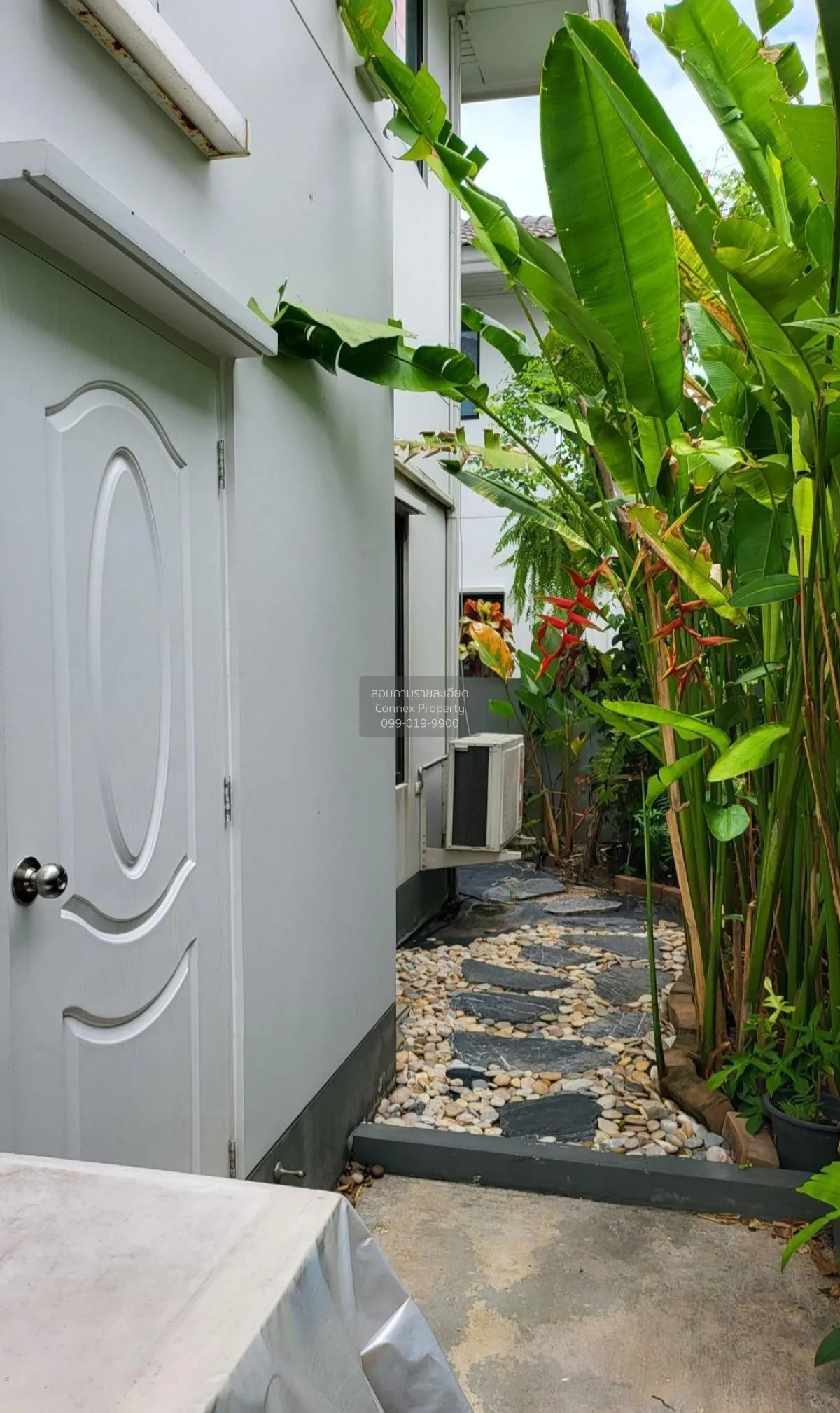 ขายบ้าน  คณาสิริ วงแหวน - ลำลูกกา บึงคำพร้อย ลำลูกกา ปทุมธานี CX-