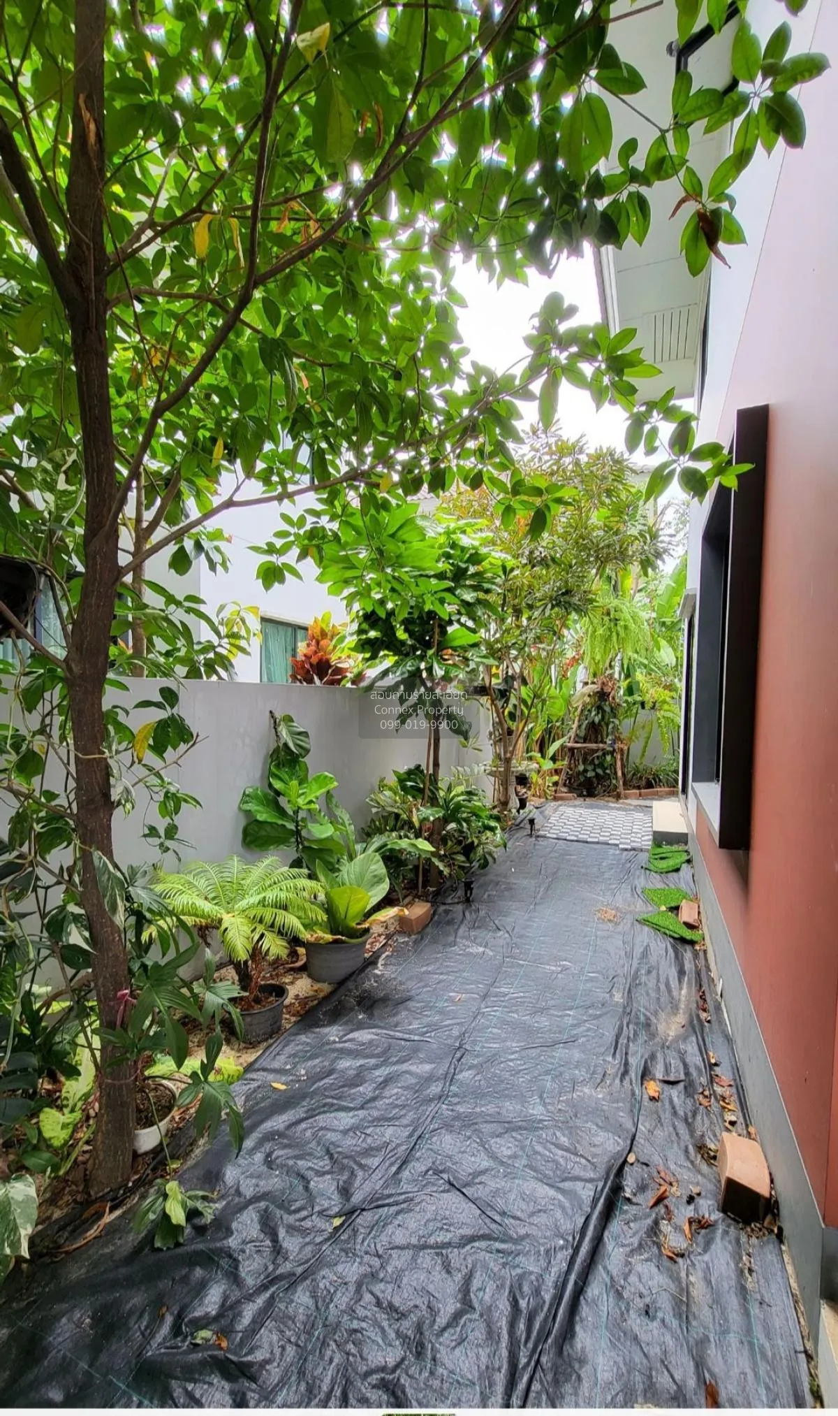 ขายบ้าน  คณาสิริ วงแหวน - ลำลูกกา บึงคำพร้อย ลำลูกกา ปทุมธานี CX-