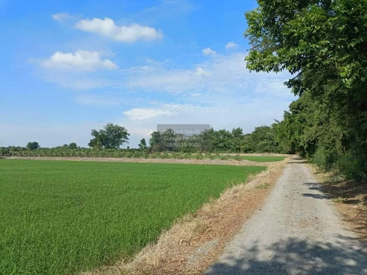 ขายขายที่ดินเปล่าติดถนนนฐ.4005 บางระกำ บางเลน นครปฐม CX-100834 2