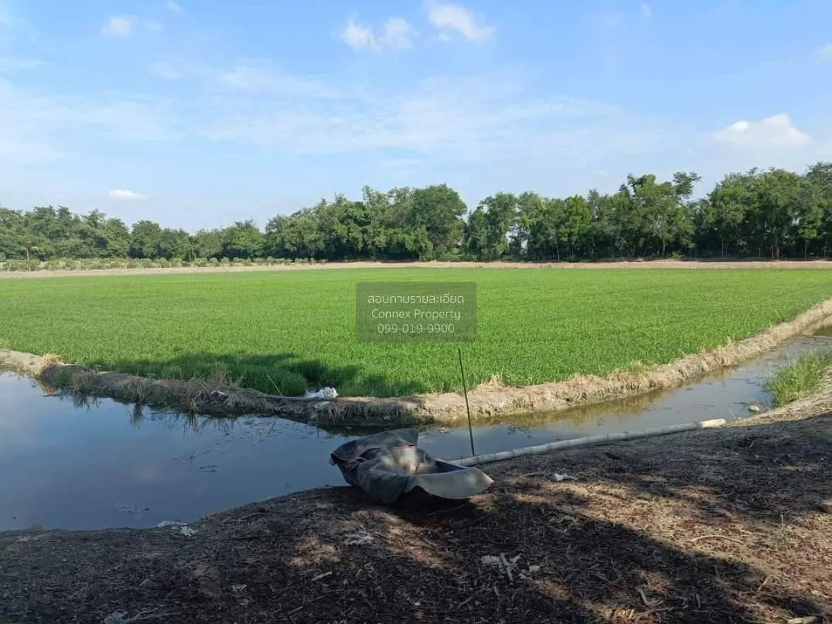 ขายขายที่ดินเปล่าติดถนนนฐ.4005 บางระกำ บางเลน นครปฐม CX-100834