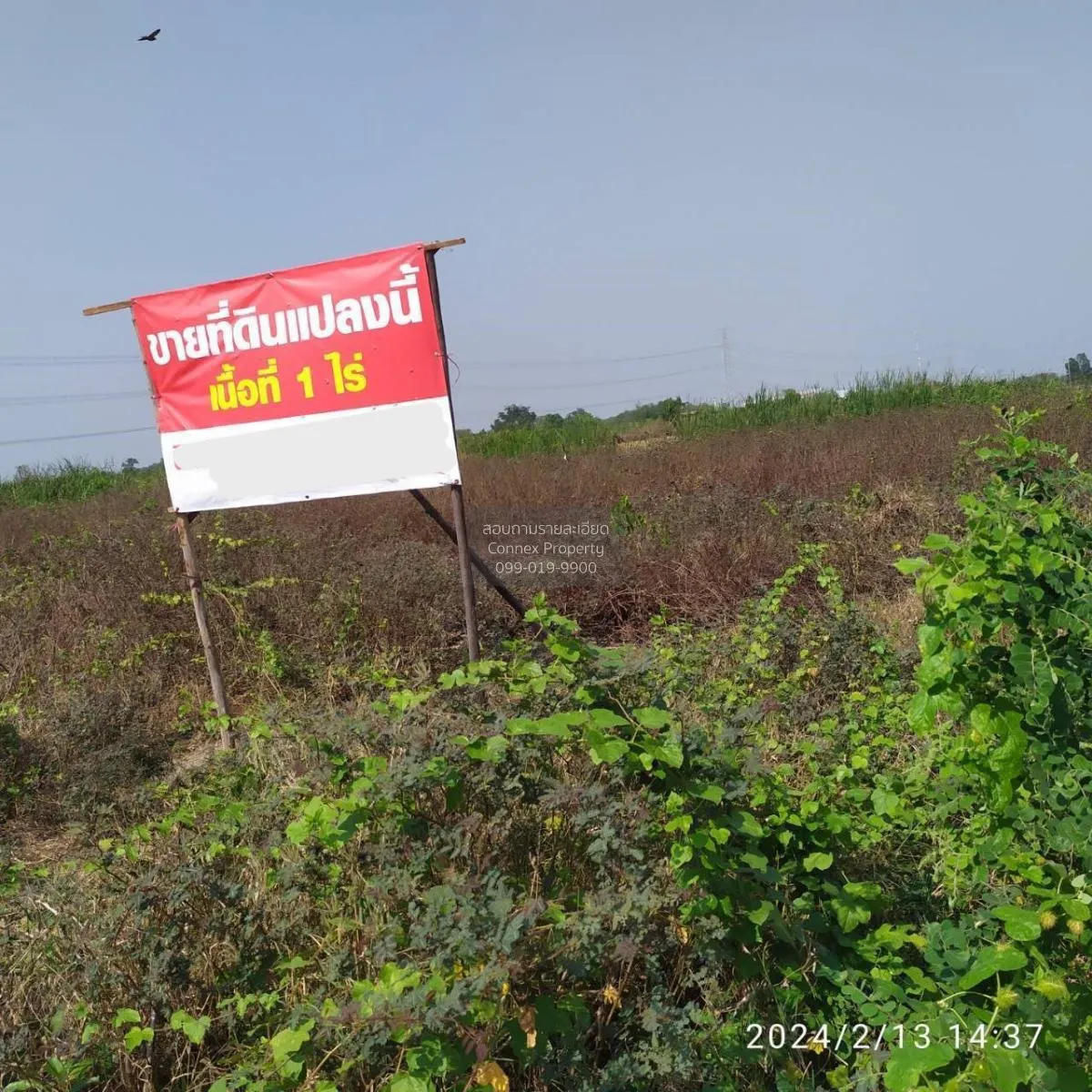 ขายที่ดินเปล่า 1 ไร่ ลาดหลุมแก้ว หน้าไม้ ลาดหลุมแก้ว ปทุมธานี CX- 2