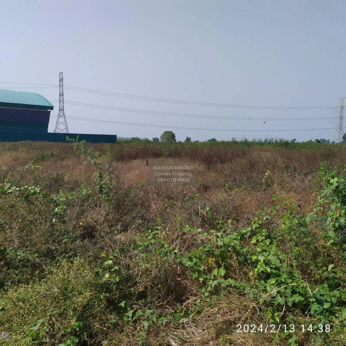 ขายที่ดินเปล่า 1 ไร่ ลาดหลุมแก้ว หน้าไม้ ลาดหลุมแก้ว ปทุมธานี CX- 3