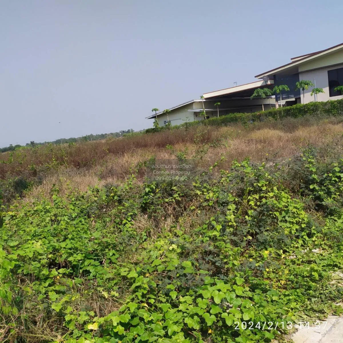 ขายที่ดินเปล่า 1 ไร่ ลาดหลุมแก้ว หน้าไม้ ลาดหลุมแก้ว ปทุมธานี CX- 4