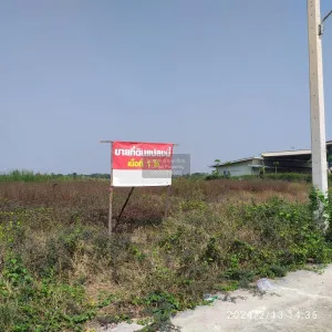 ขายที่ดินเปล่า 1 ไร่ ลาดหลุมแก้ว หน้าไม้ ลาดหลุมแก้ว ปทุมธานี CX-100876