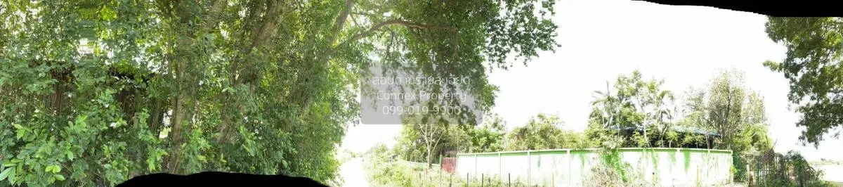 ขายที่ดินเปล่า 4 ไร่ กำแพงแสน ทุ่งบัว กำแพงแสน นครปฐม CX-101103