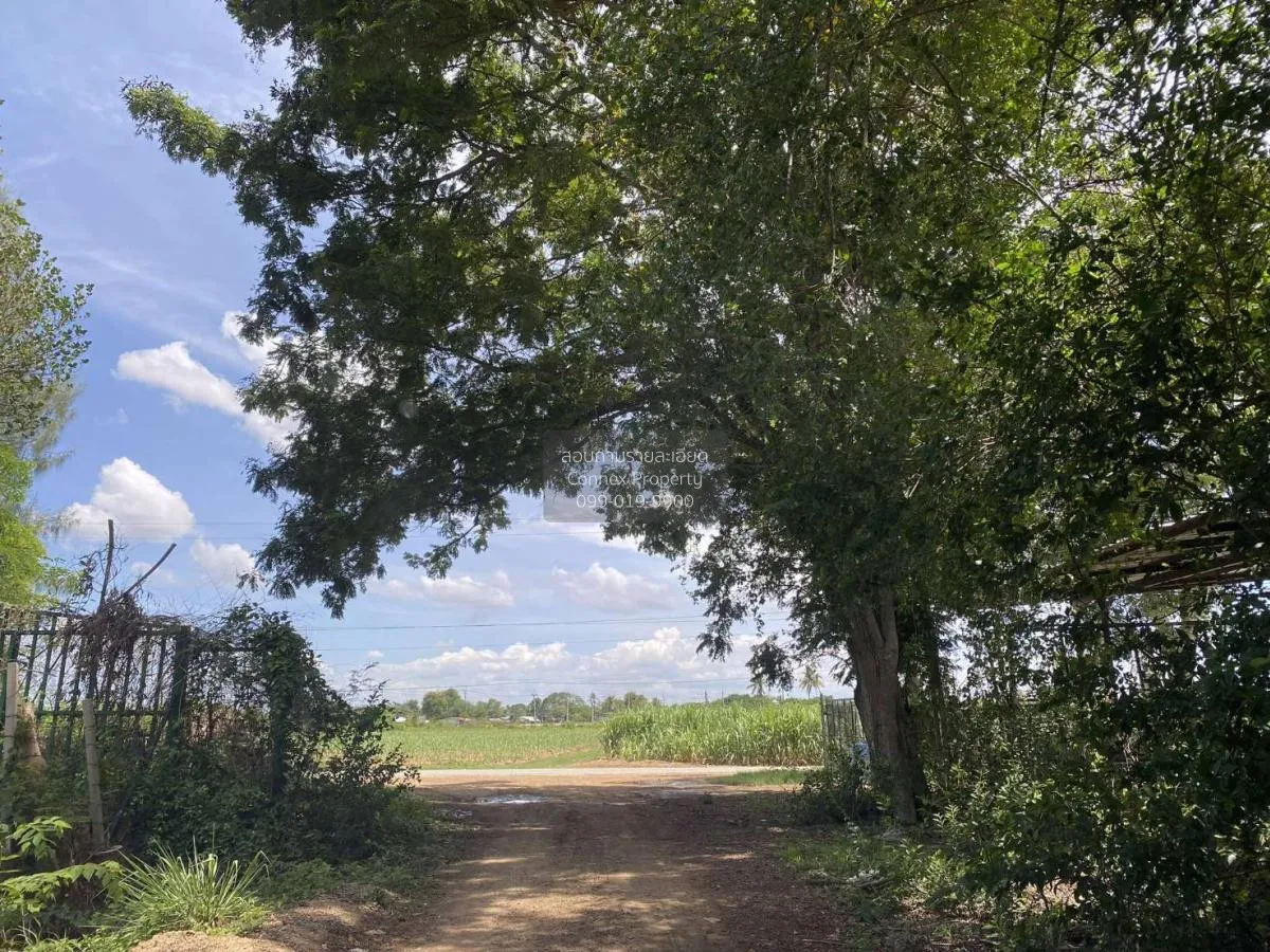 ขายที่ดินเปล่า 4 ไร่ กำแพงแสน ทุ่งบัว กำแพงแสน นครปฐม CX-101103 1