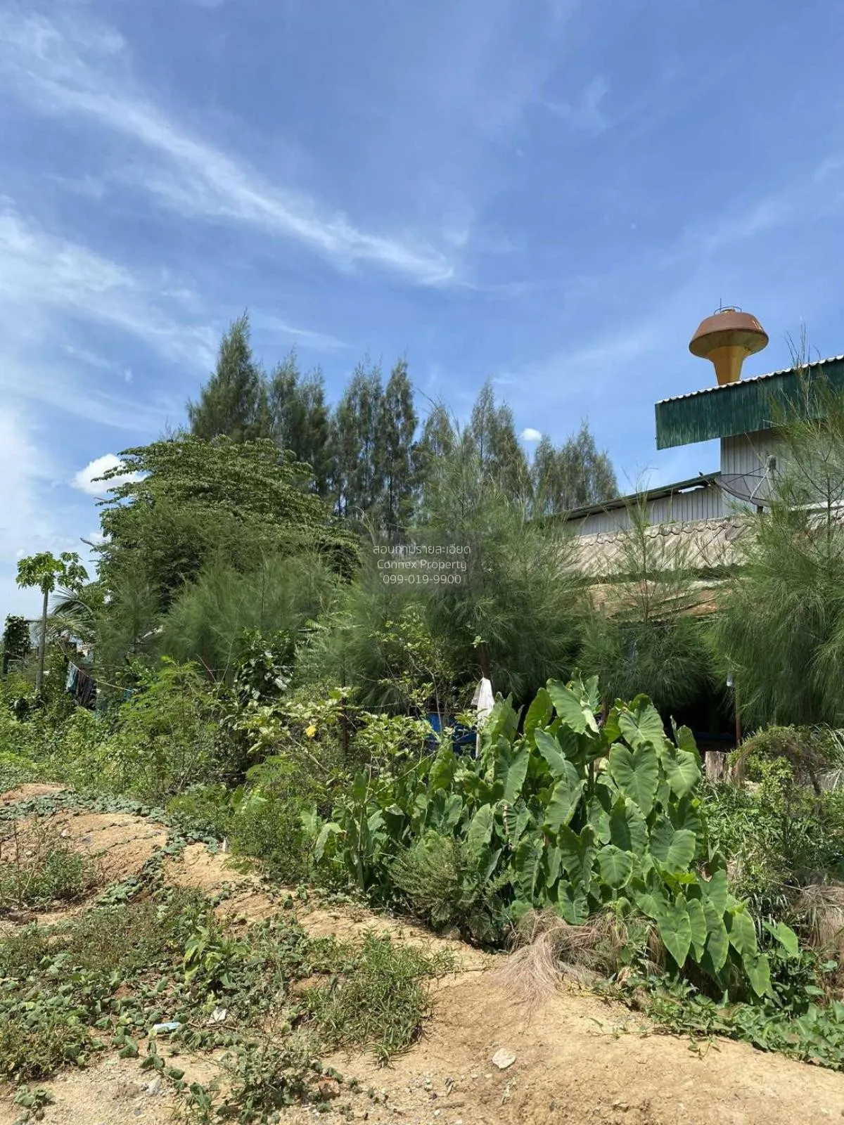 ขายที่ดินเปล่า 4 ไร่ กำแพงแสน ทุ่งบัว กำแพงแสน นครปฐม CX-101103 3