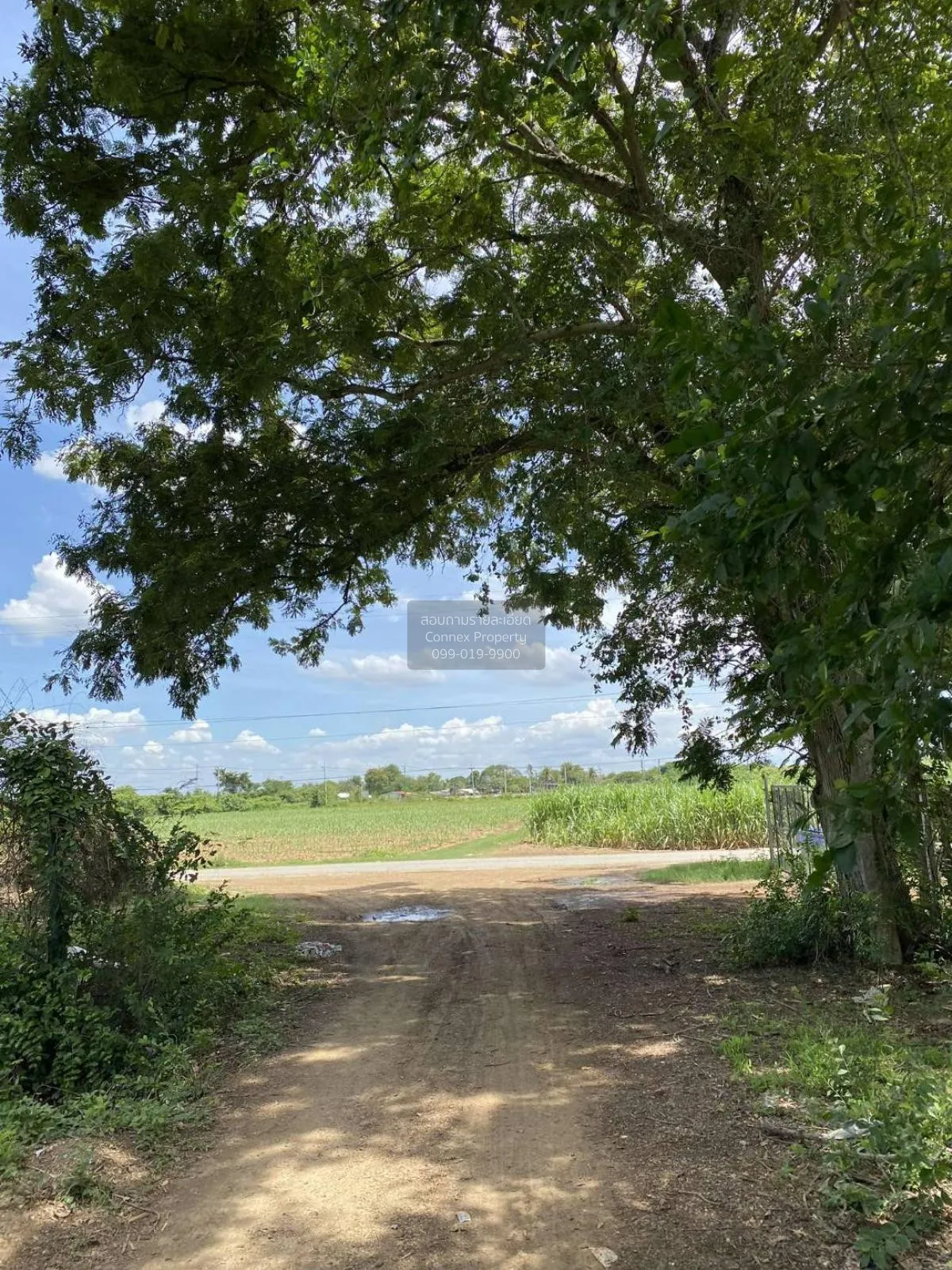 ขายที่ดินเปล่า 4 ไร่ กำแพงแสน ทุ่งบัว กำแพงแสน นครปฐม CX-101103