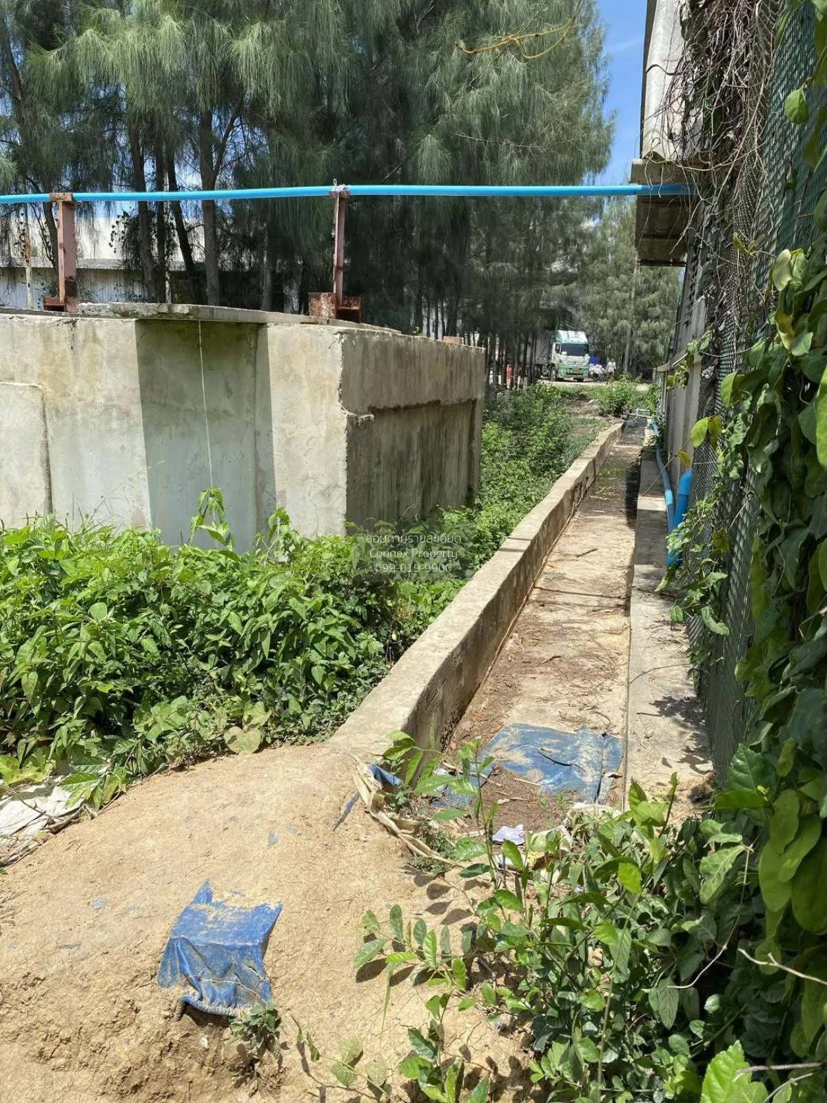 ขายที่ดินเปล่า 4 ไร่ กำแพงแสน ทุ่งบัว กำแพงแสน นครปฐม CX-101103