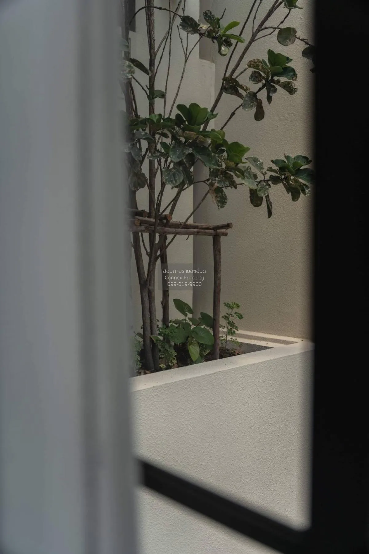 For Sale Condo , The Reserve Sukhumvit 61 Khlong Toei Nuea , Watt