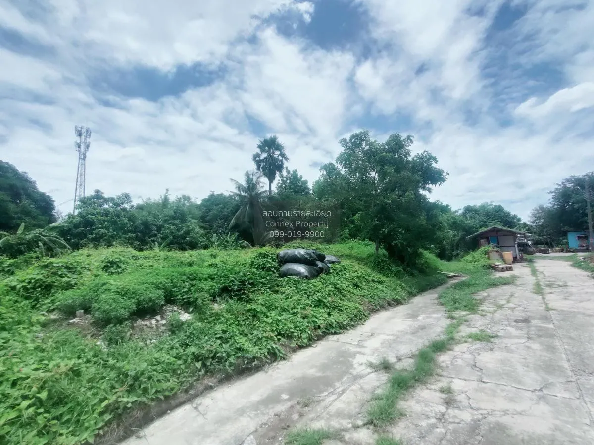 ขายที่ดินว่างเปล่า กฤษดานคร-แจ้งวัฒนะ (ซ.30) บางตลาด ปากเกร็ด นนท 1