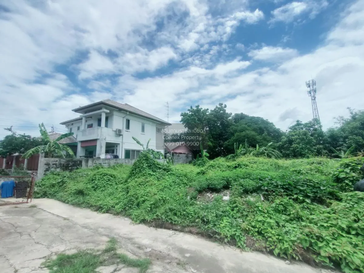 ขายที่ดินว่างเปล่า กฤษดานคร-แจ้งวัฒนะ (ซ.30) บางตลาด ปากเกร็ด นนท 2