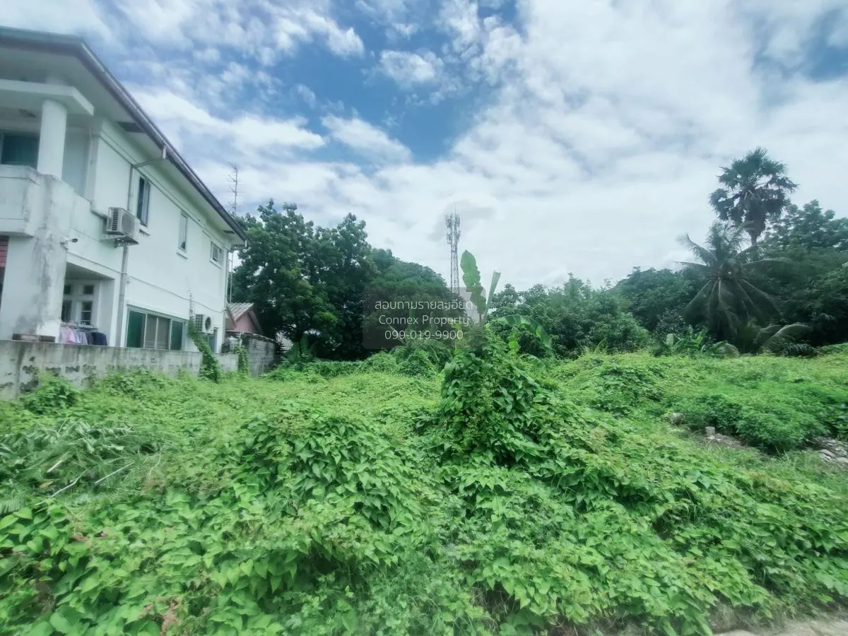 ขายที่ดินว่างเปล่า กฤษดานคร-แจ้งวัฒนะ (ซ.30) บางตลาด ปากเกร็ด นนท 3