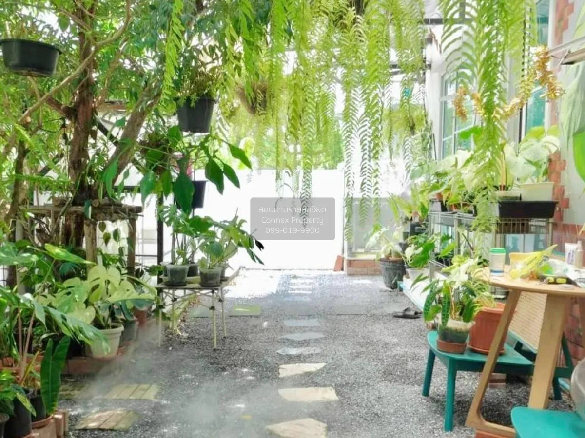 ขายบ้าน  อัญญ่า ราชพฤกษ์-นครอินทร์ บางเลน บางใหญ่ นนทบุรี CX-1021 3