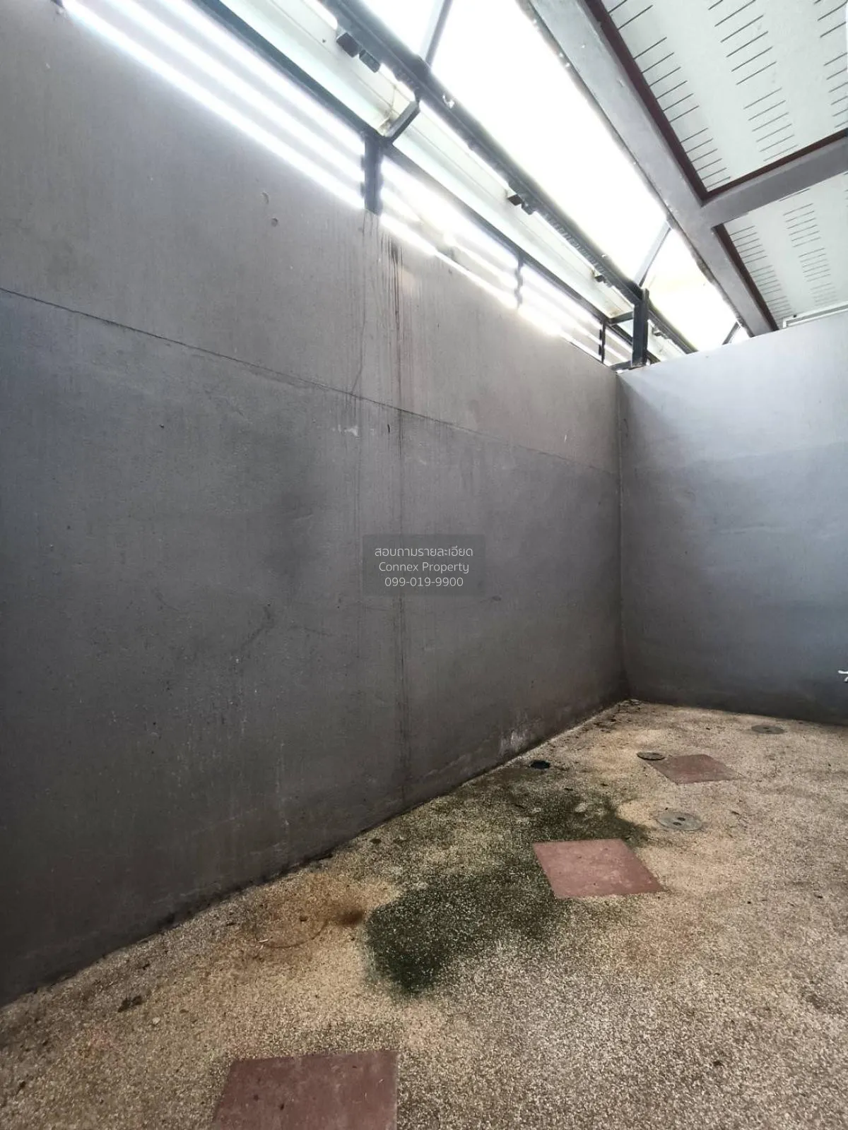 ขายอาคารพาณิชย์  ซี ทาวน์โมเดร์น เพลส วัดประดู่ เมืองสุราษฎร์ธานี