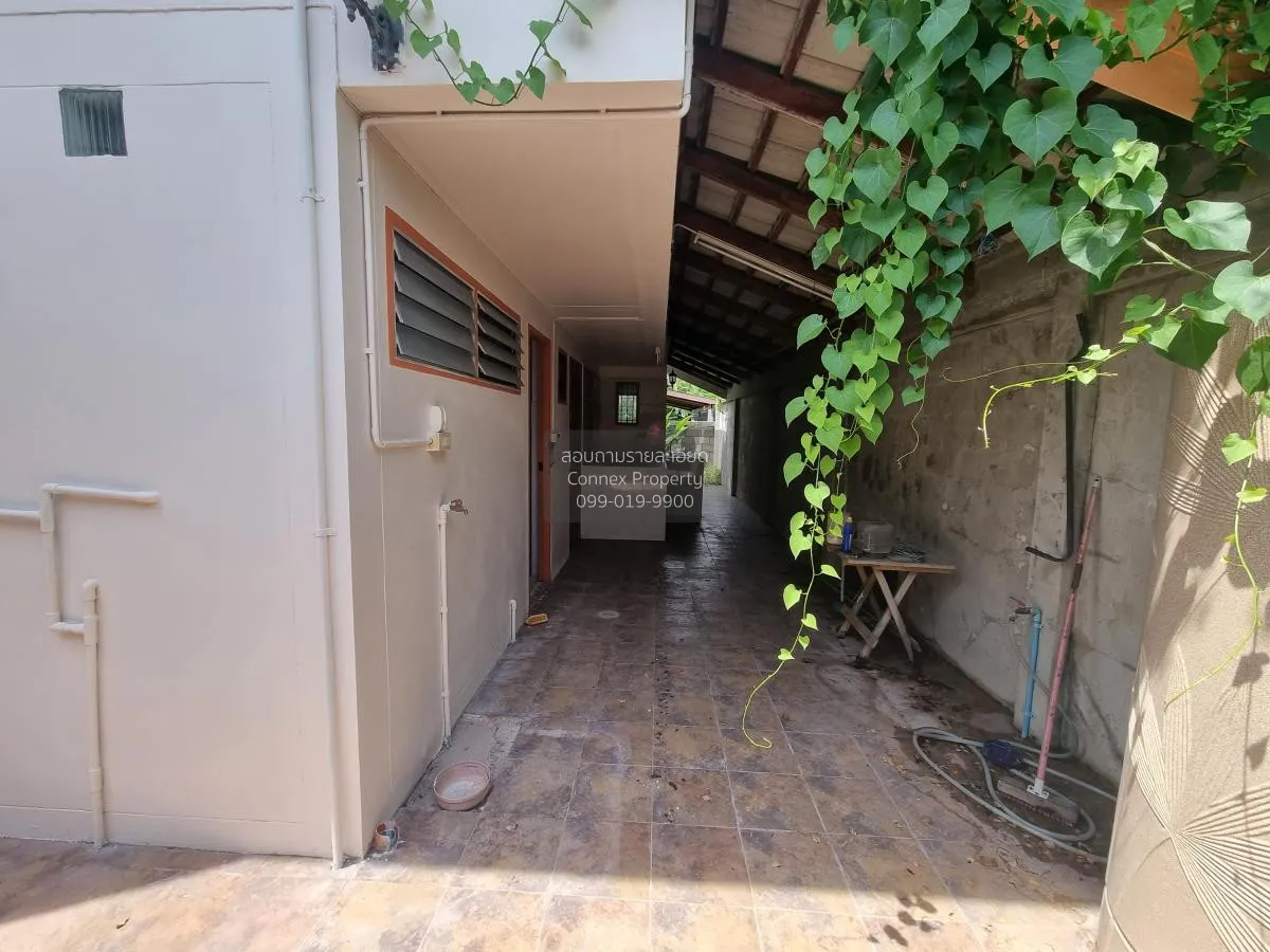 ขายบ้าน  สัมมากร รามคำแหง112 สะพานสูง เขต สะพานสูง กรุงเทพ CX-102